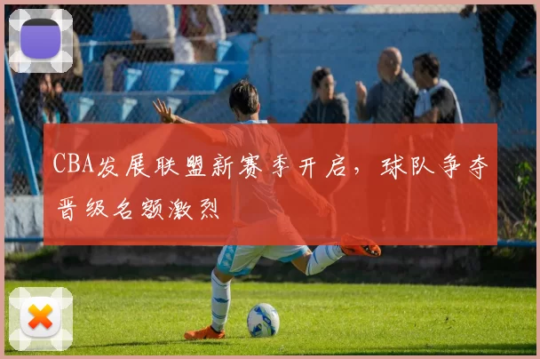 CBA发展联盟新赛季开启，球队争夺晋级名额激烈