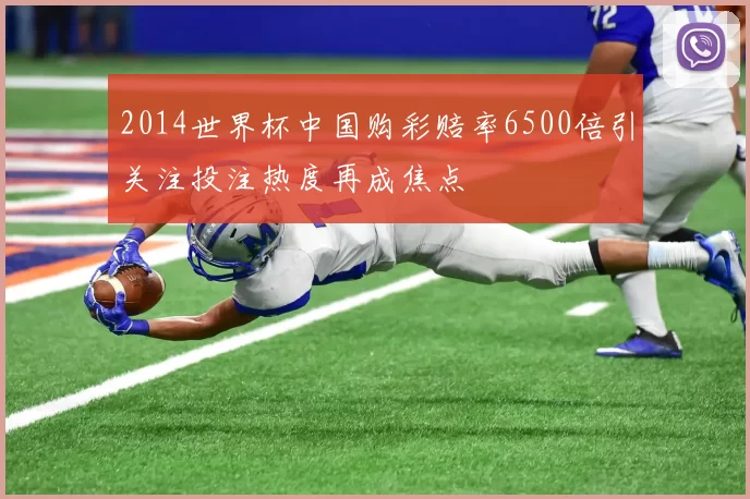 2014世界杯中国购彩赔率6500倍引关注投注热度再成焦点