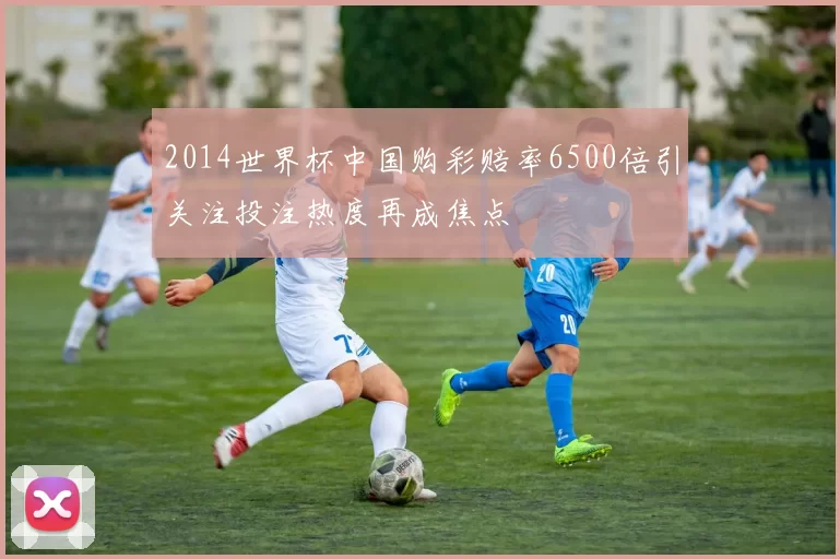 2014世界杯中国购彩赔率6500倍引关注投注热度再成焦点