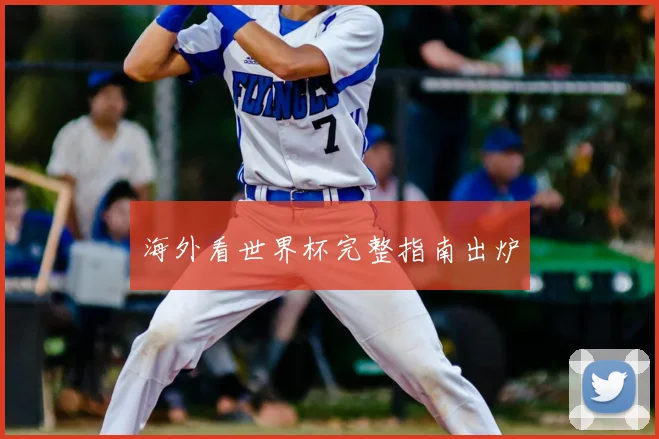 海外看世界杯完整指南出炉