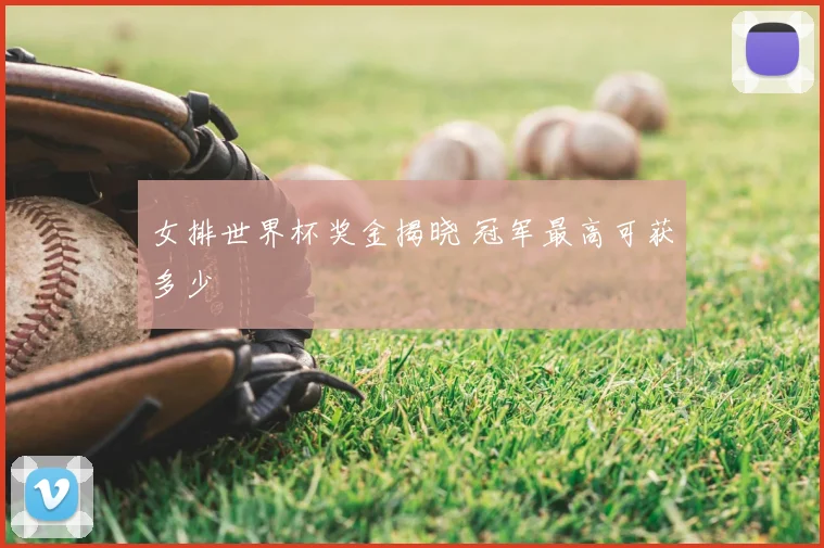 女排世界杯奖金揭晓 冠军最高可获多少